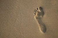 1046097_imprints